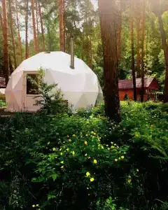 Kupolnaya baza Royal Forest - 35
