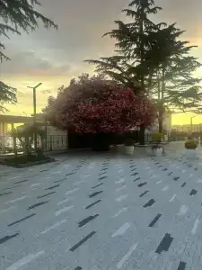 COOCOOROOZA Resort - 9