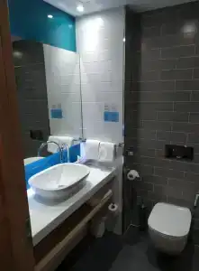 Holiday Inn Express Moscow - Sheremetyevo Airport, an IHG - 28