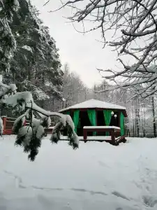 Guest house Lesnoy Edem - 30