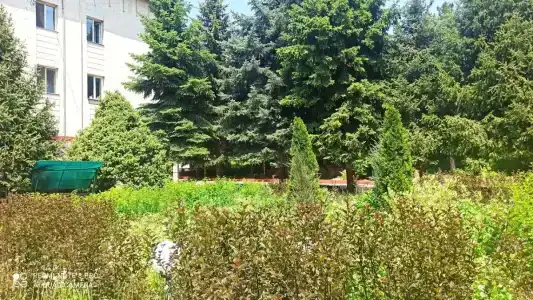 Koktem Sanatorium - 18