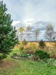 Eko S Russkoy Baney Medvezhye Urochische Private House - 99