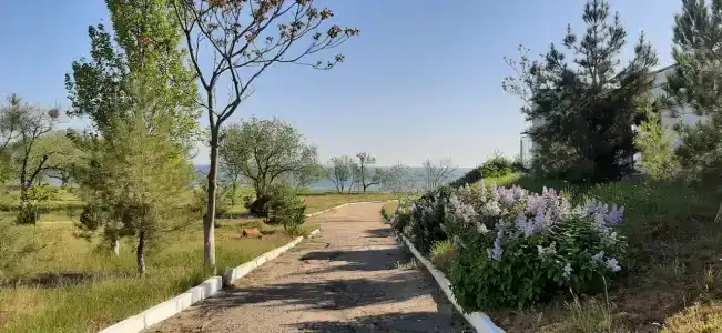 турбаза Прибой - 63