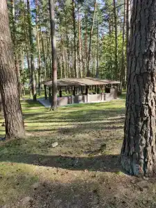 Березина (Минская обл.) - 20