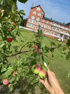 Alexandrovskaya Sloboda - 12