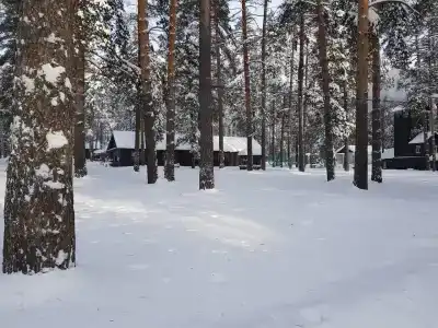 Черепашьи Озёра - 68