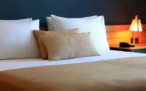 Senses - Adults Only - 17