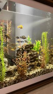 У Фонтана - 24