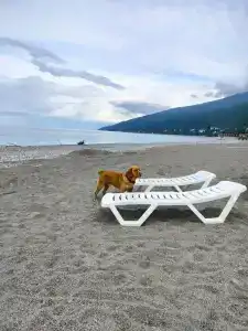 Im. Chelyuskintsev Sanatorium - 22