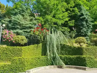 Odisseya Resort - 30