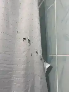 Simple Bon Voyage - 77