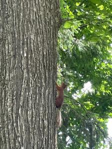 Energiya Tourist base - 83