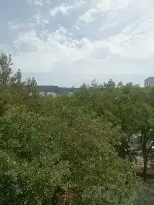 Barguzin - 31