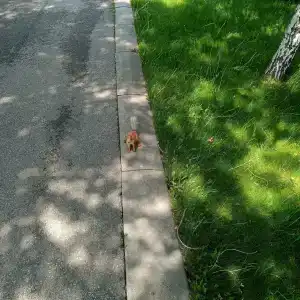 Okzhetpes Sanatorium - 55