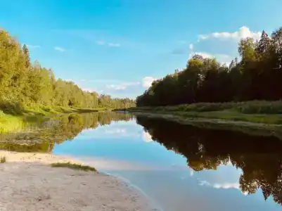 База отдыха "Ветлуга" - 4