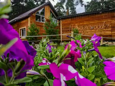 Recreation center Magic Wood - 59
