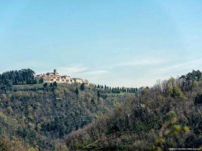 Marco Polo Terme - 1