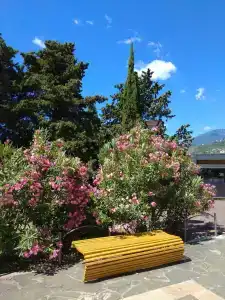 Sanatorium Utes - 48