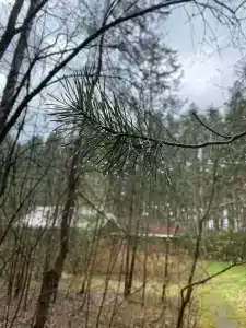 Knyazhyya Rechka Baza Otdykha - 78