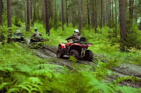 Ohotnichiy kompleks Chervonoe - 6