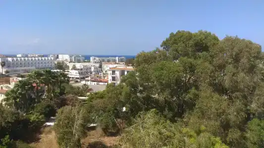Papouis Protaras ex smartline Protaras - 35