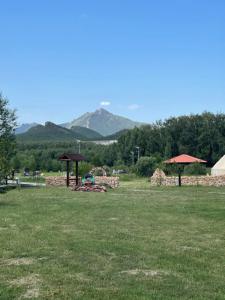 Terrassa Park - 84