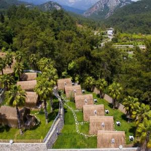 The Hill Glamping Bungalow - 3