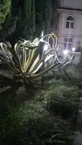 Odeon Guest House - 29