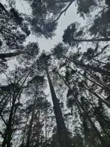 Okatur Tourist base - 86