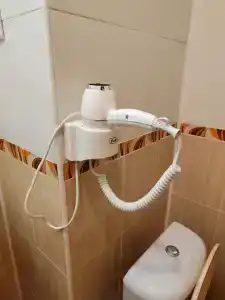 Belovezhskaya pushcha №2 - 74