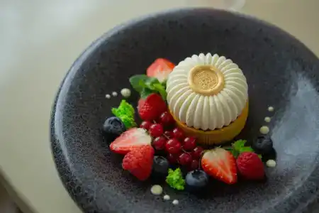 Plaza Spa Resort - 33