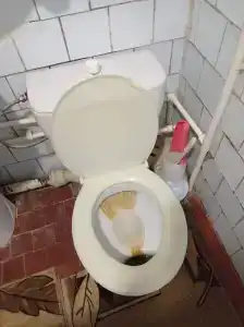 Gostinitsa Birsk - 43