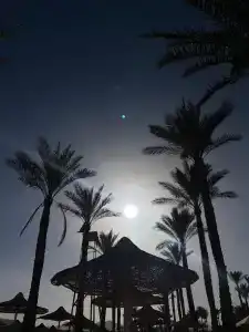 Sharm Resort - All Inclusive - 24