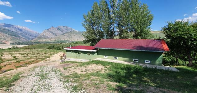 Navruz - 4