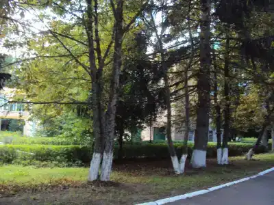 Санаторий Солнечногорский Минобороны России - 86