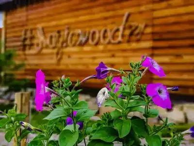 Recreation center Magic Wood - 6