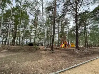 Green Which Tourist Borovoye - 16