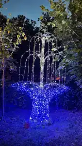 У Фонтана - 25