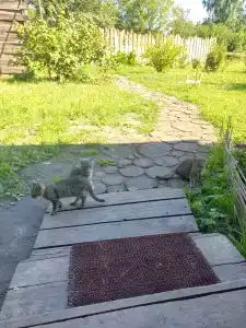 Yakovka57 Tourist base - 24