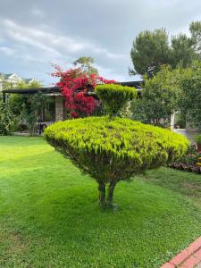 Zena Resort - 3