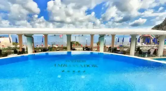 Weber Ambassador - 3