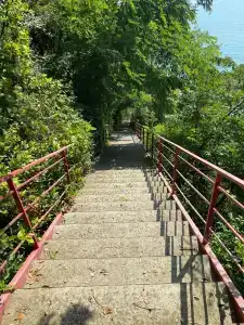 Villa Plaza Guest House - 39