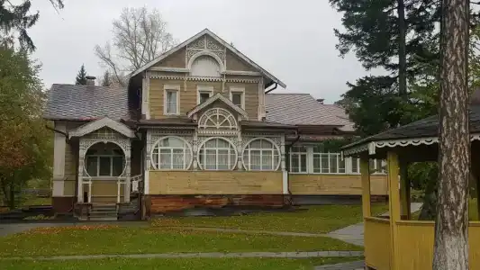 Sanatorium Sosnovyy bor - 50