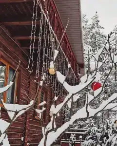 Guest house Lesnoy Edem - 33