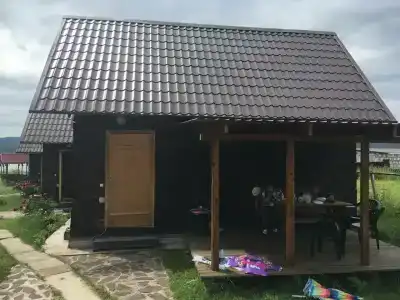 Polyana - 11