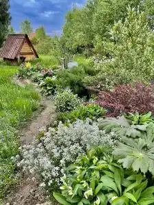 Eko S Russkoy Baney Medvezhye Urochische Private House - 21