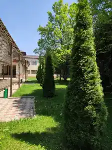 Sanatoriy Kazakhstan - 14