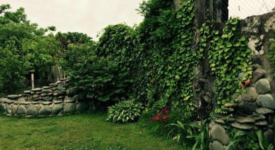 Guest House on Kostava 23 - 0