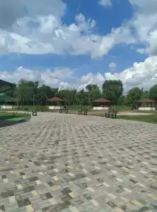 Madagaskar - 10
