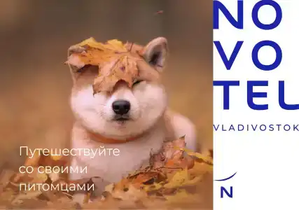 Novotel Vladivostok - 60